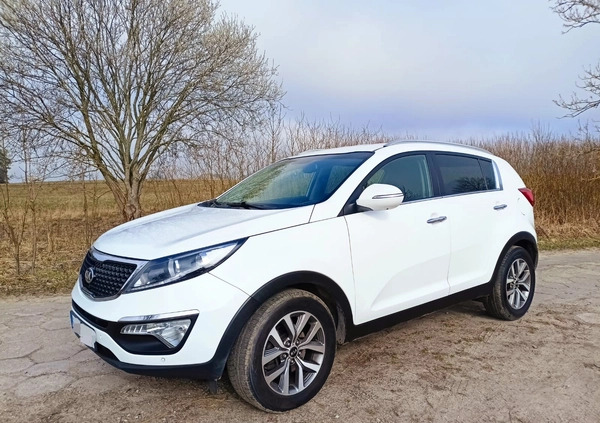 Kia Sportage cena 54900 przebieg: 225000, rok produkcji 2014 z Dębica małe 37